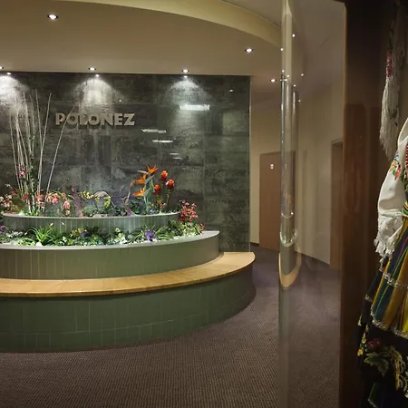 Отель Polonez 3*